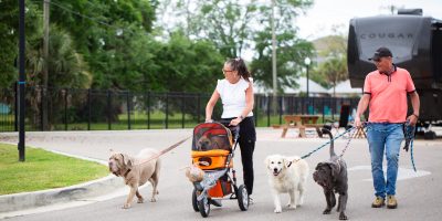 Biloxi-103 Biloxi-103