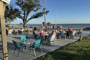 People sit at outdoor tables on a wooden patio near the beach on a sunny day, with trees and ocean visible in the background. People sit at outdoor tables on a wooden patio near the beach on a sunny day, with trees and ocean visible in the background.